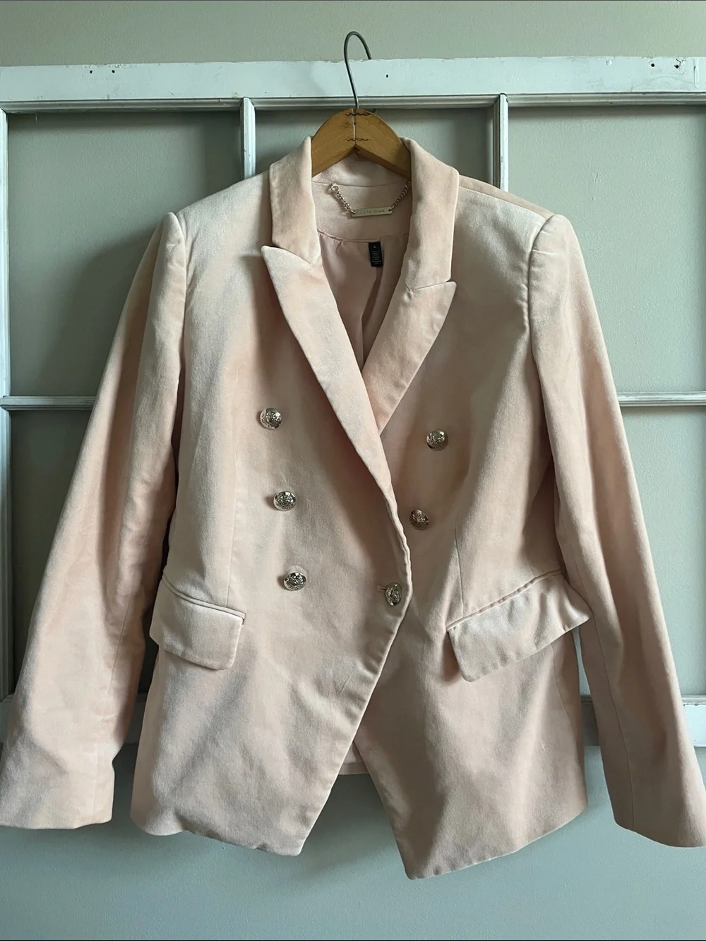 White House Black Market Double-Breasted Blazer in Pale Pink